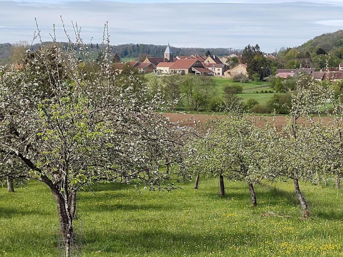 Chateau D'Impasse Laferté-sur-Amance Εξωτερικό φωτογραφία
